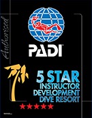 5 Star Resort